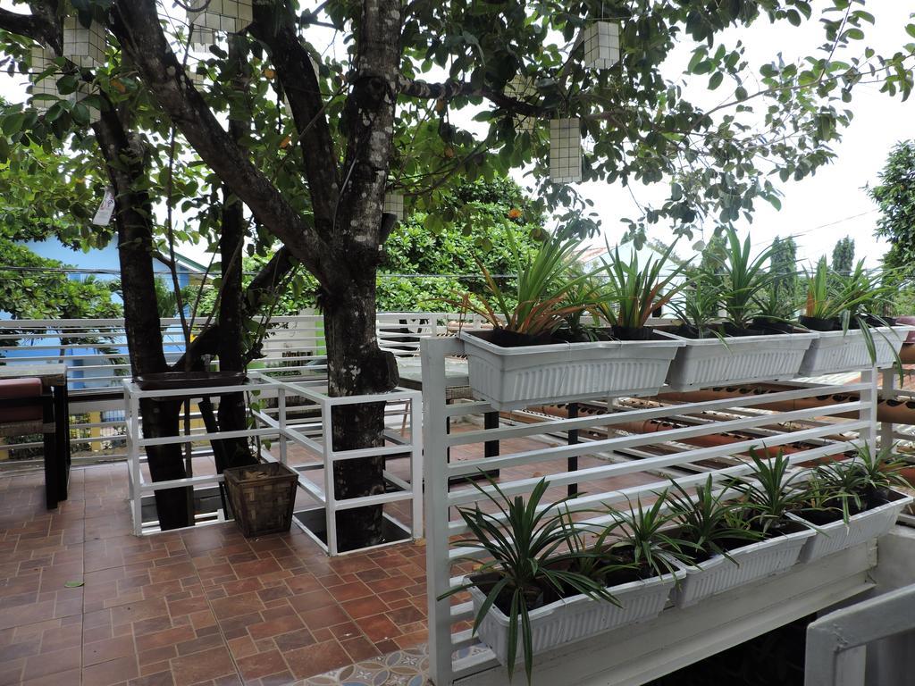 ออเรจ แมนโกรฟ เพนชัน เฮาส์ Bed & Breakfast Puerto Princesa ภายนอก รูปภาพ