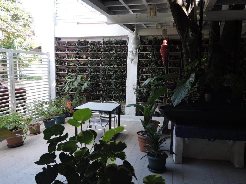 ออเรจ แมนโกรฟ เพนชัน เฮาส์ Bed & Breakfast Puerto Princesa ภายนอก รูปภาพ