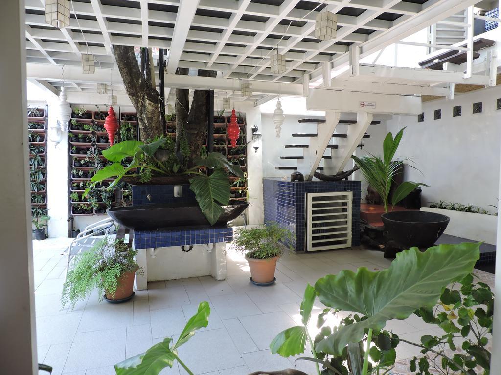 ออเรจ แมนโกรฟ เพนชัน เฮาส์ Bed & Breakfast Puerto Princesa ภายนอก รูปภาพ