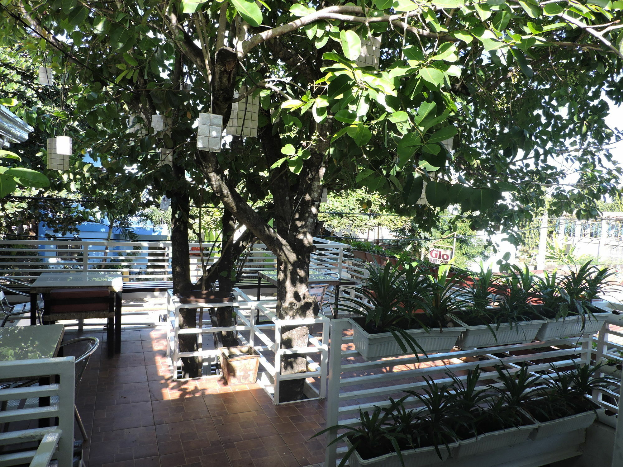 ออเรจ แมนโกรฟ เพนชัน เฮาส์ Bed & Breakfast Puerto Princesa ภายนอก รูปภาพ