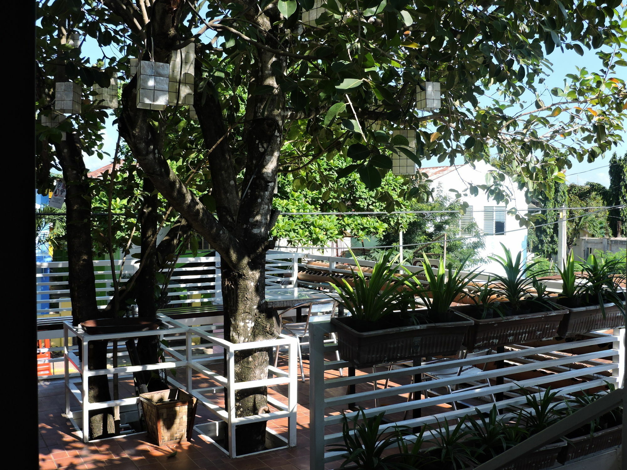 ออเรจ แมนโกรฟ เพนชัน เฮาส์ Bed & Breakfast Puerto Princesa ภายนอก รูปภาพ